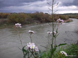 Ponte Barca